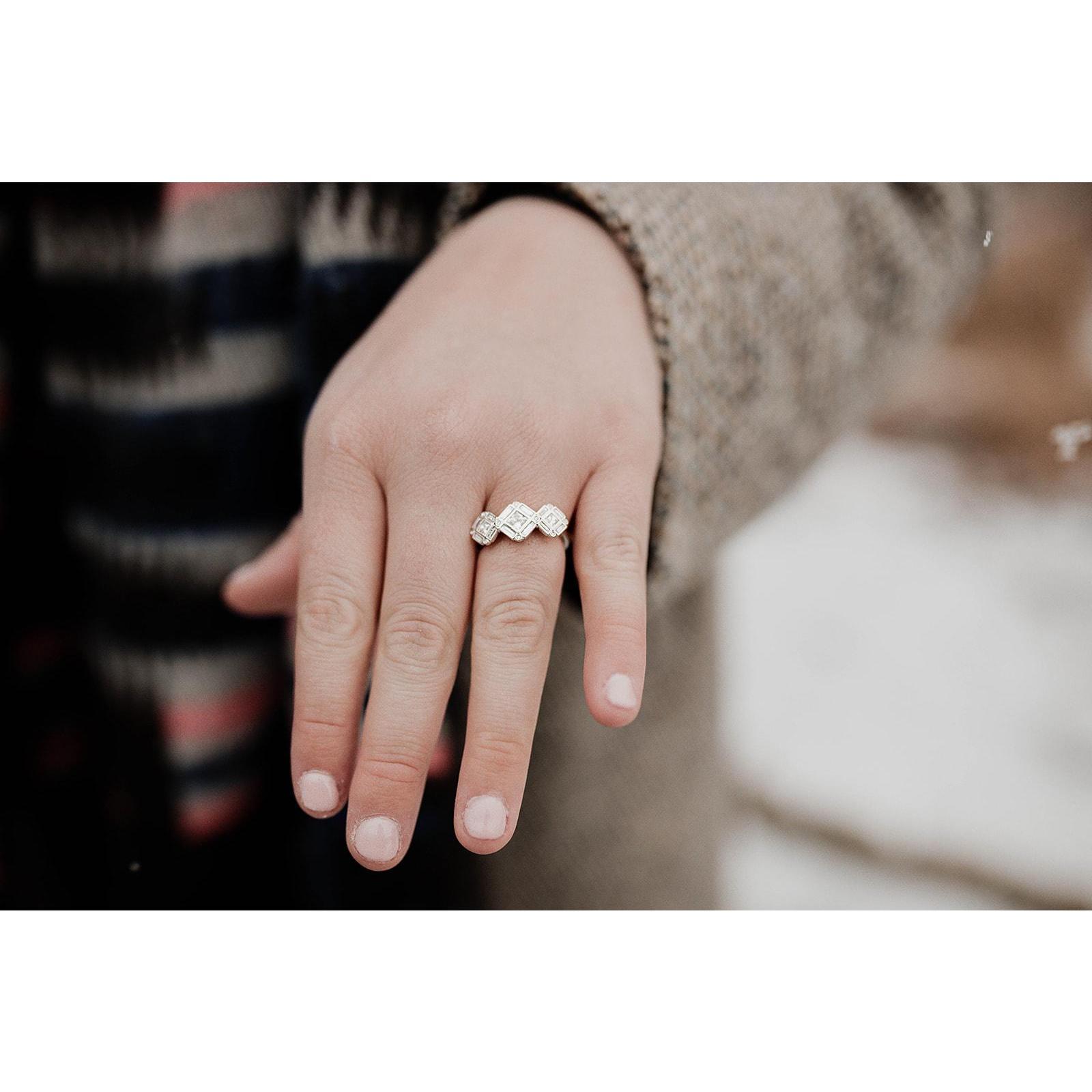 01.23.2021 Proposal at Lauritzen Gardens
