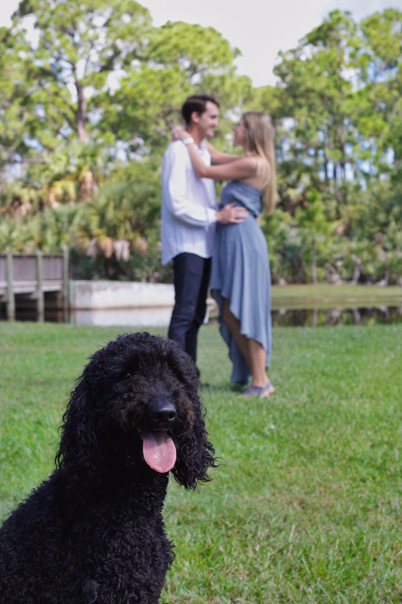 The Wedding Website of Audrey Downs and Kit Fisher