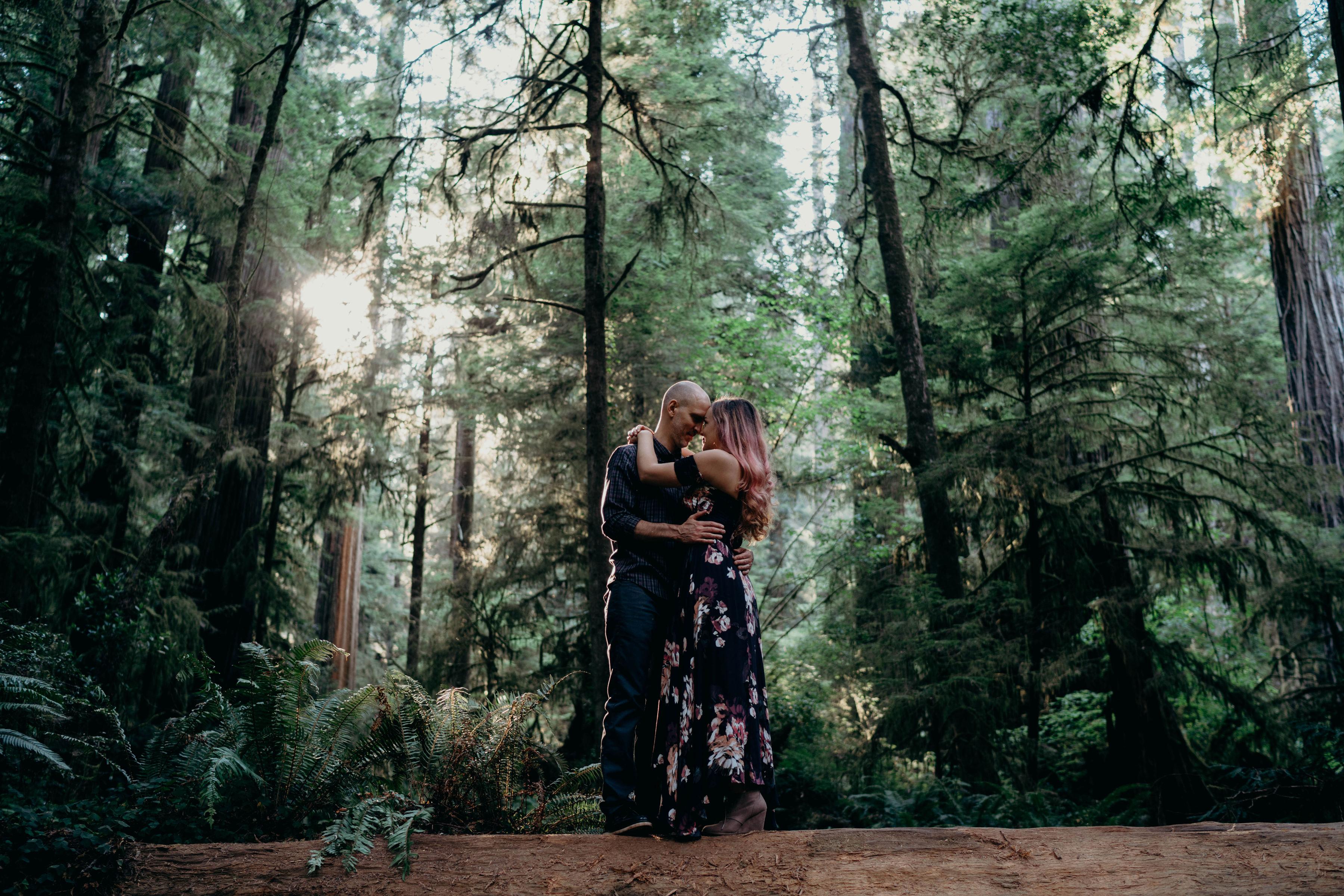 The Wedding Website of Holly Hunter and Michael Perrine