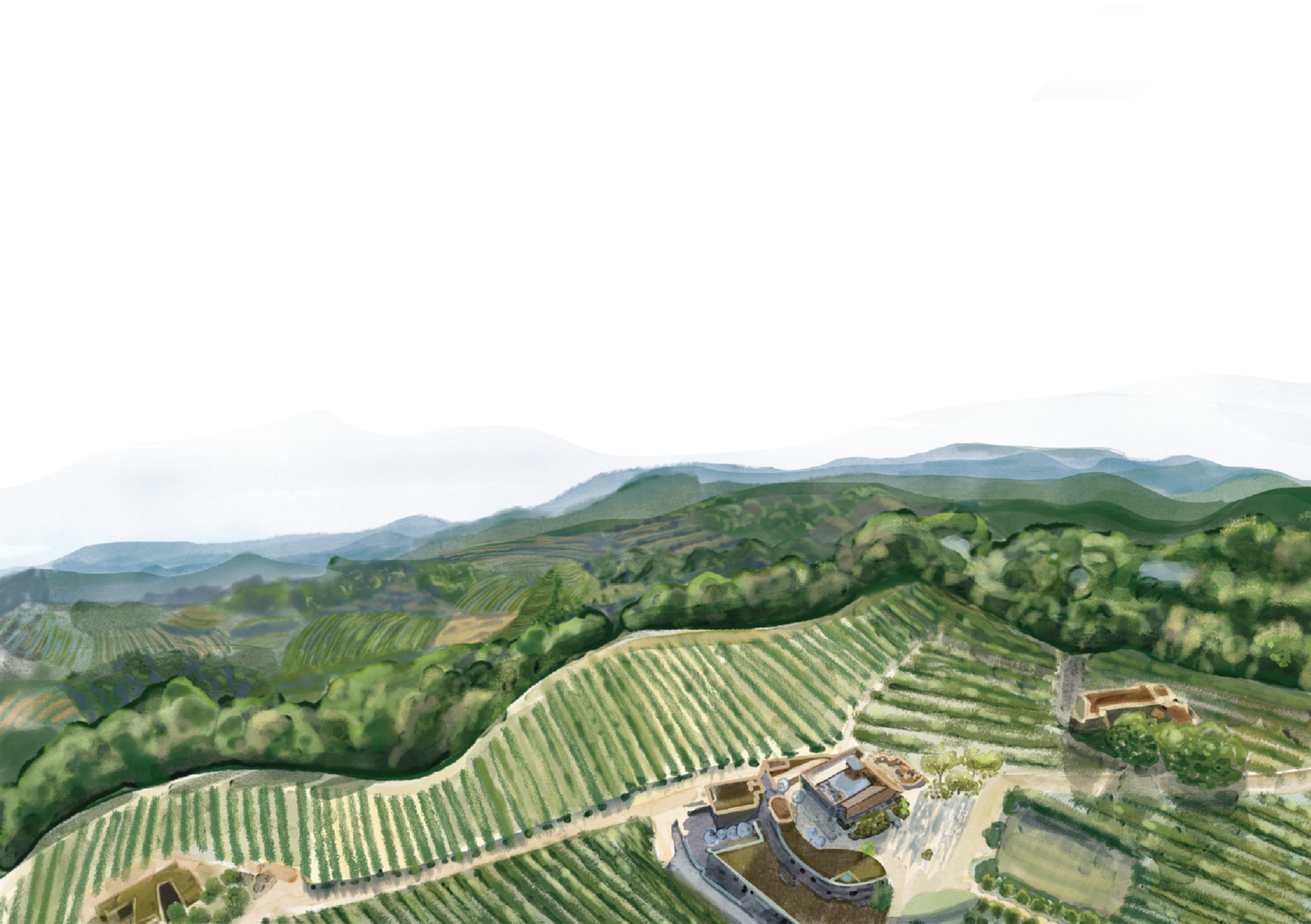 The Wedding Website of Rebecca Papilsky and Teddy Egers