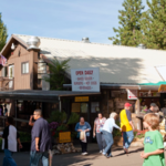 Apple Hill | High Hill Ranch