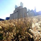 Mill City Museum