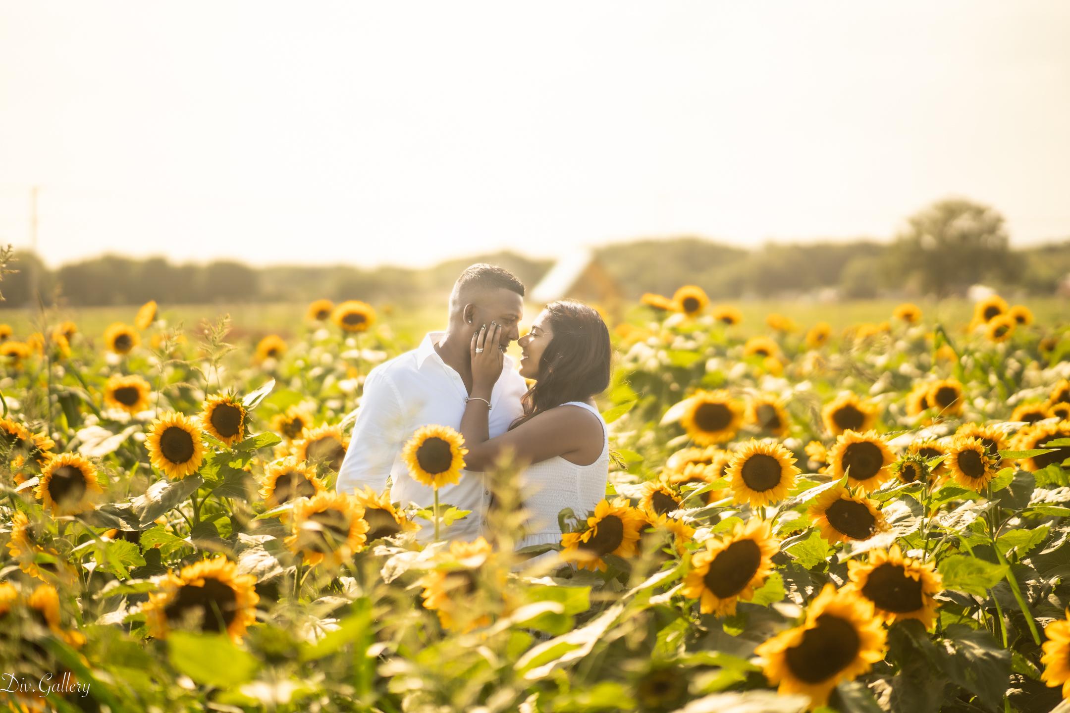 The Wedding Website of Divya Raghubir and Denesh Yassim