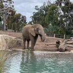 San Diego Zoo