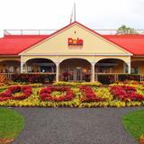 Dole Plantation