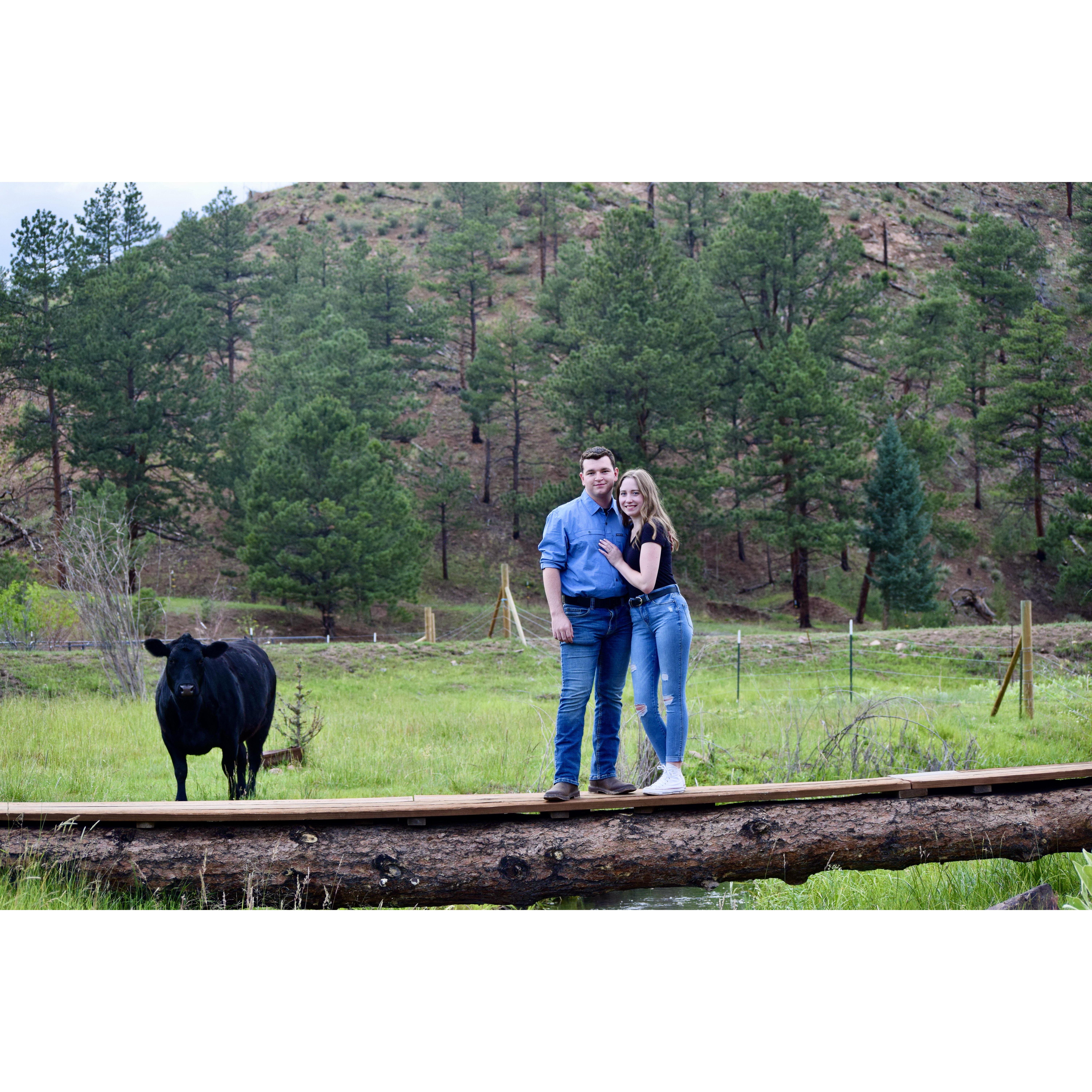 Engagement pictures July 2022 (taken by Bree Ogden)