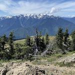 Hurricane Ridge