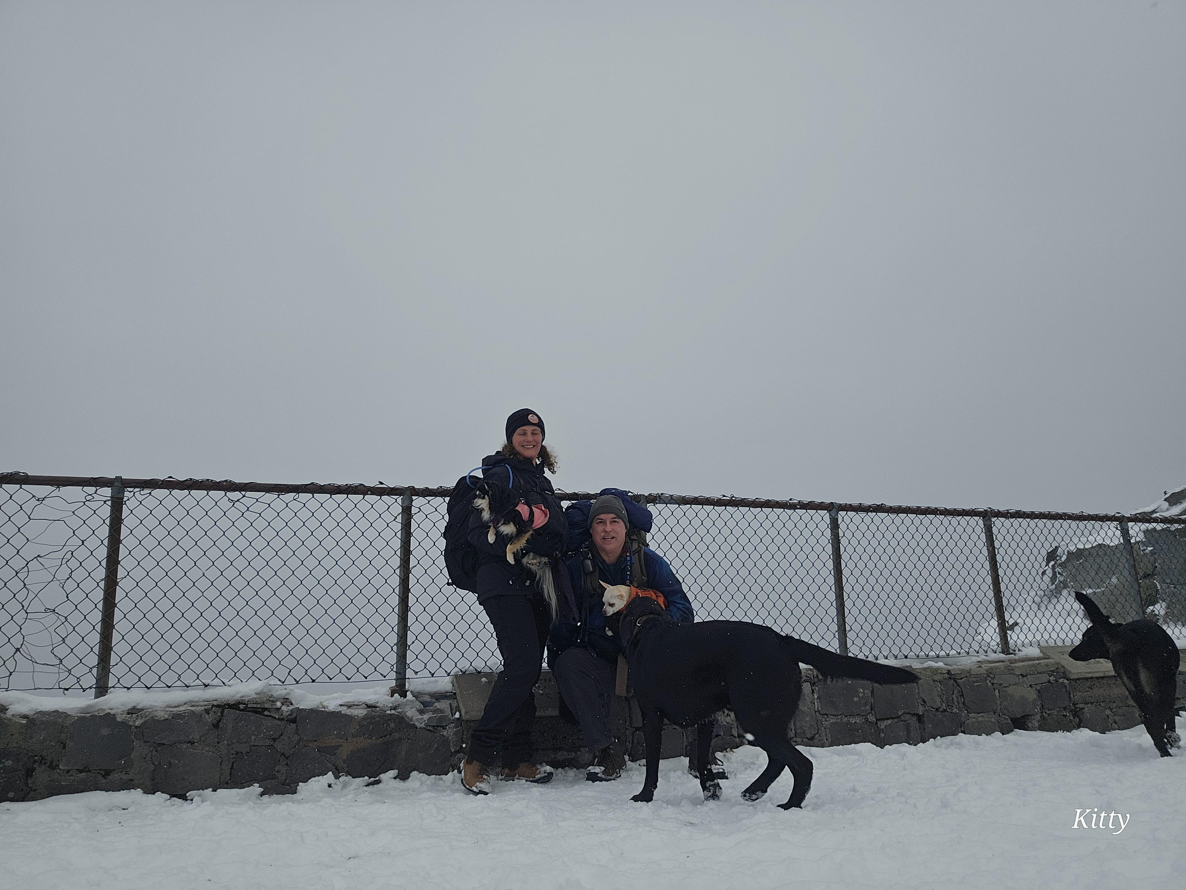 The Wedding Website of Kitty Glassow and Jeff Williams