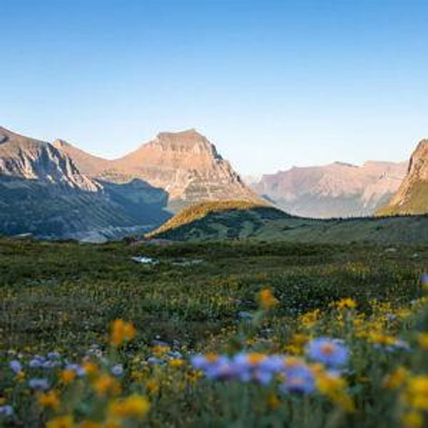 Honeymoon Lodging, Transportation, & Food