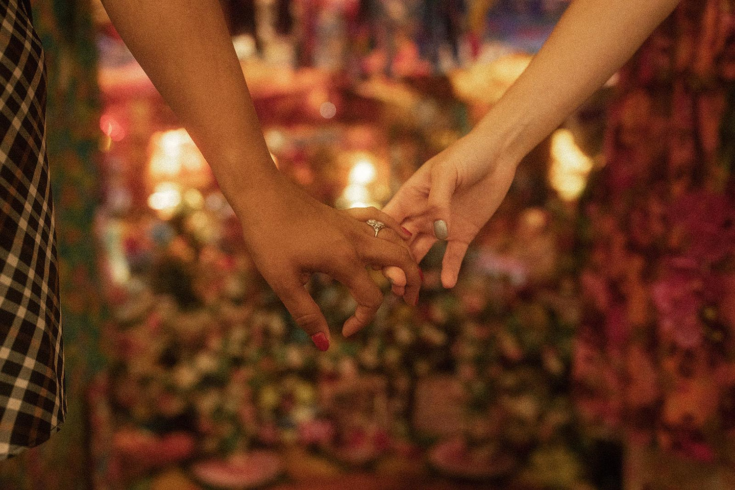 The Wedding Website of Elizabeth Sebastian and Meredith Cahill