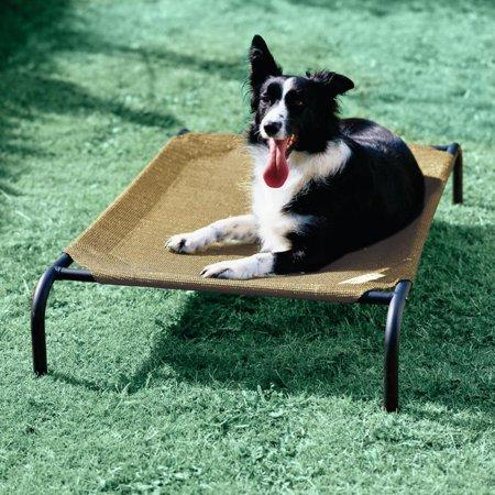 Coolaroo Elevated Pet Bed, X-Large, 60"x37"x9", Desert Sand