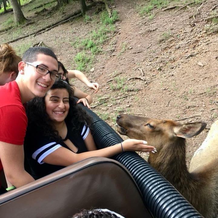 We love animals (Kayleen more than Tyler).