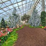 Foellinger-Friemann Botanical Conservatory