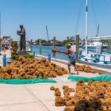 Tarpon Springs Sponge Docks