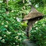 Winterthur Museum, Garden, Enchanted Woods, and Library