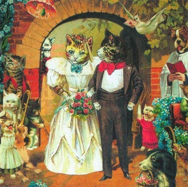 The Wedding Website of Emily Shea and Michael Owen