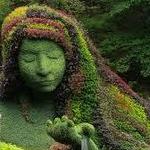 Atlanta Botanical Garden