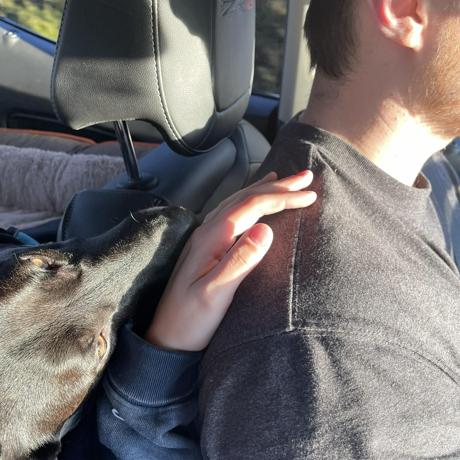 Fall Break Trip to Gatlinburg, TN