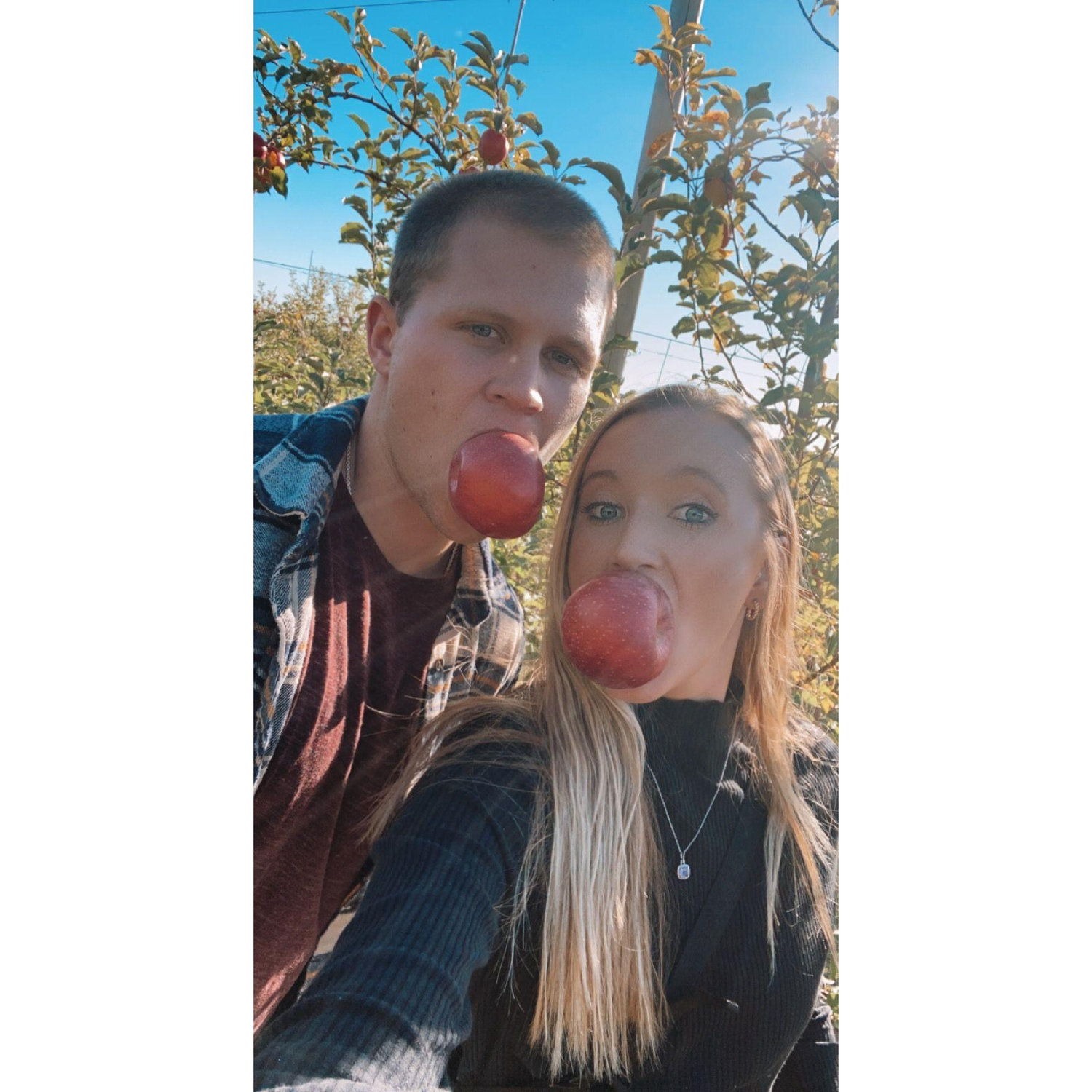 Apple picking