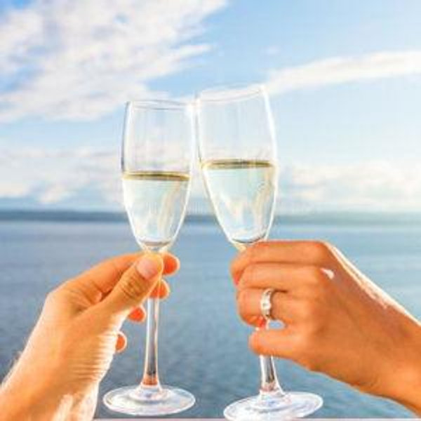 Dinner/Drinks/Excursion on You During Our Honeymoon!