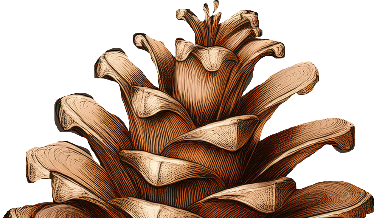 Footer image