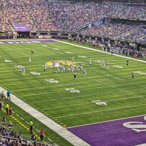 Minnesota Sports Fan