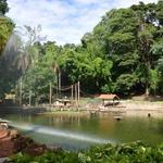 Jequitibá Woods Park / Bosque dos Jequitibás