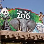 San Diego Zoo