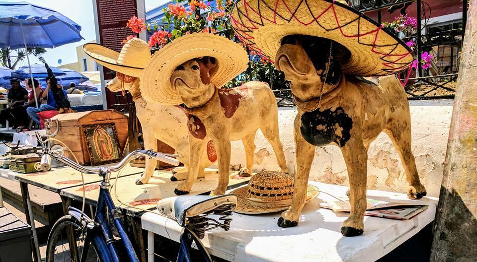 The Wedding Website of Pilar Ortiz and Scott Jones