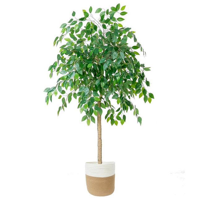 Homeplants Artificial Ficus Tree, 6ft Fake Ficus Leaves Plant with Woven Basket, Perfect Silk Tree for House Decor Office Home Living Room Floor Indoor Outdoor