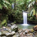 El Yunque National Forest