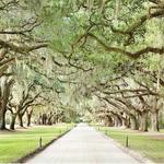 Boone Hall Plantation & Gardens