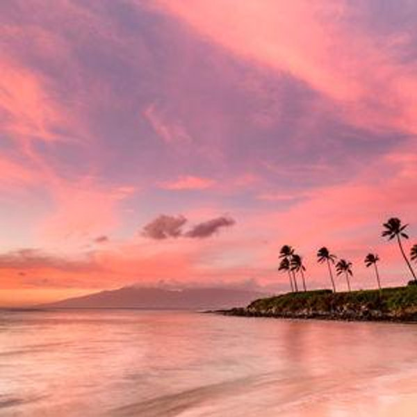 Hawaii Honeymoon Resort