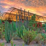 Desert Botanical Garden