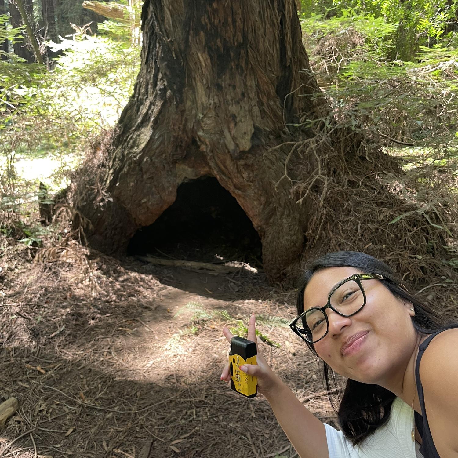 Lali found a den while trekking through the forest