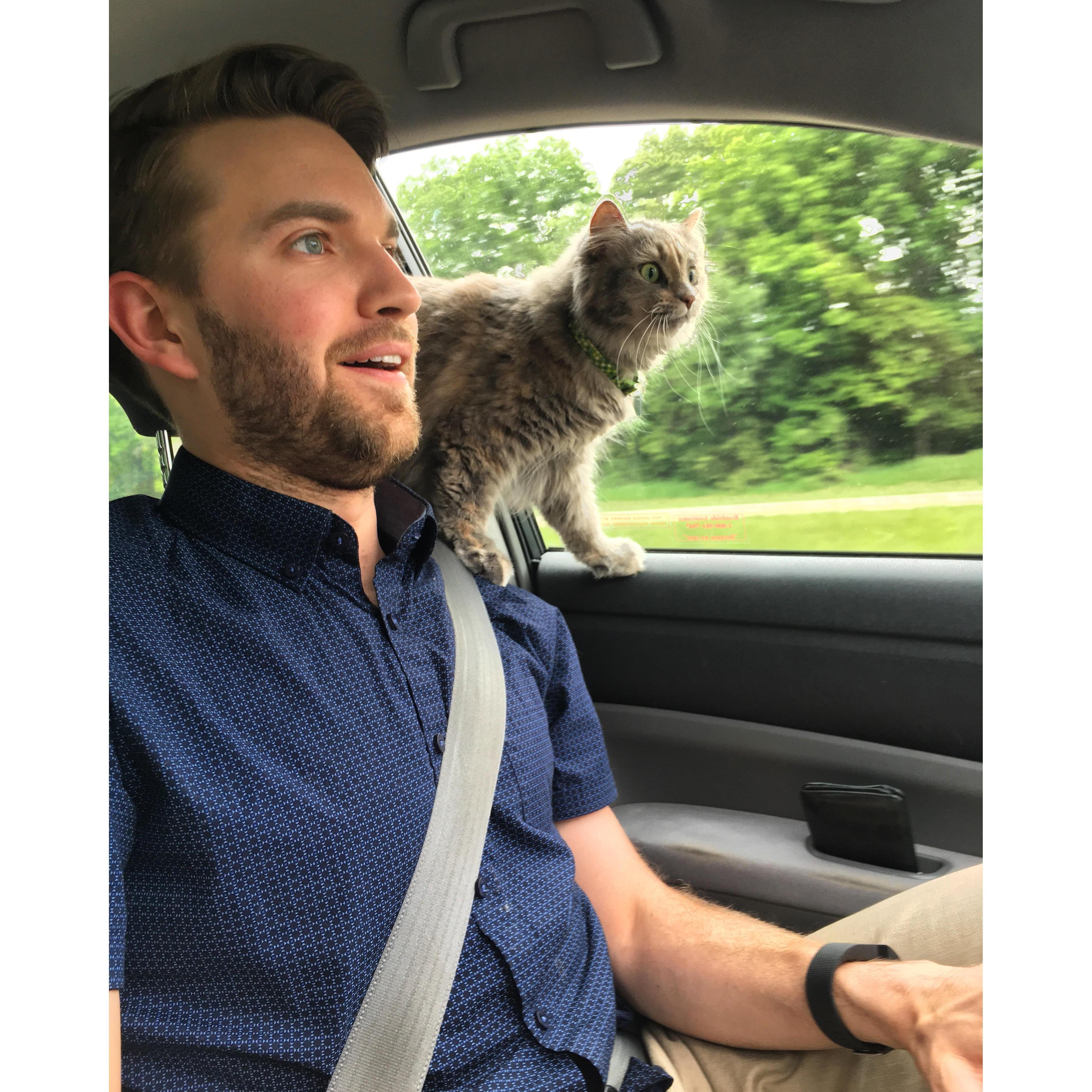 Mina lovs car rides.