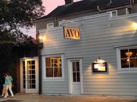 Avo