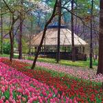Garvan Woodland Gardens