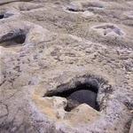 Dinosaur Valley State Park