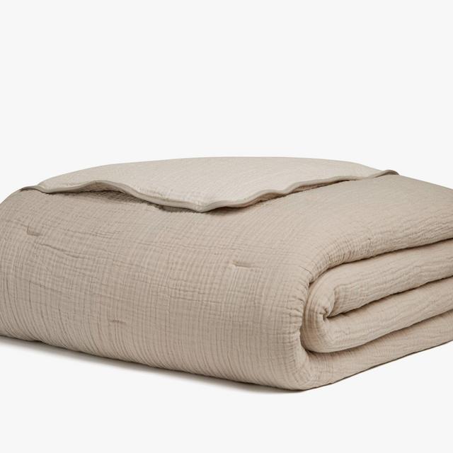 Cloud Cotton Quilt (Color: Natural and Ivory)