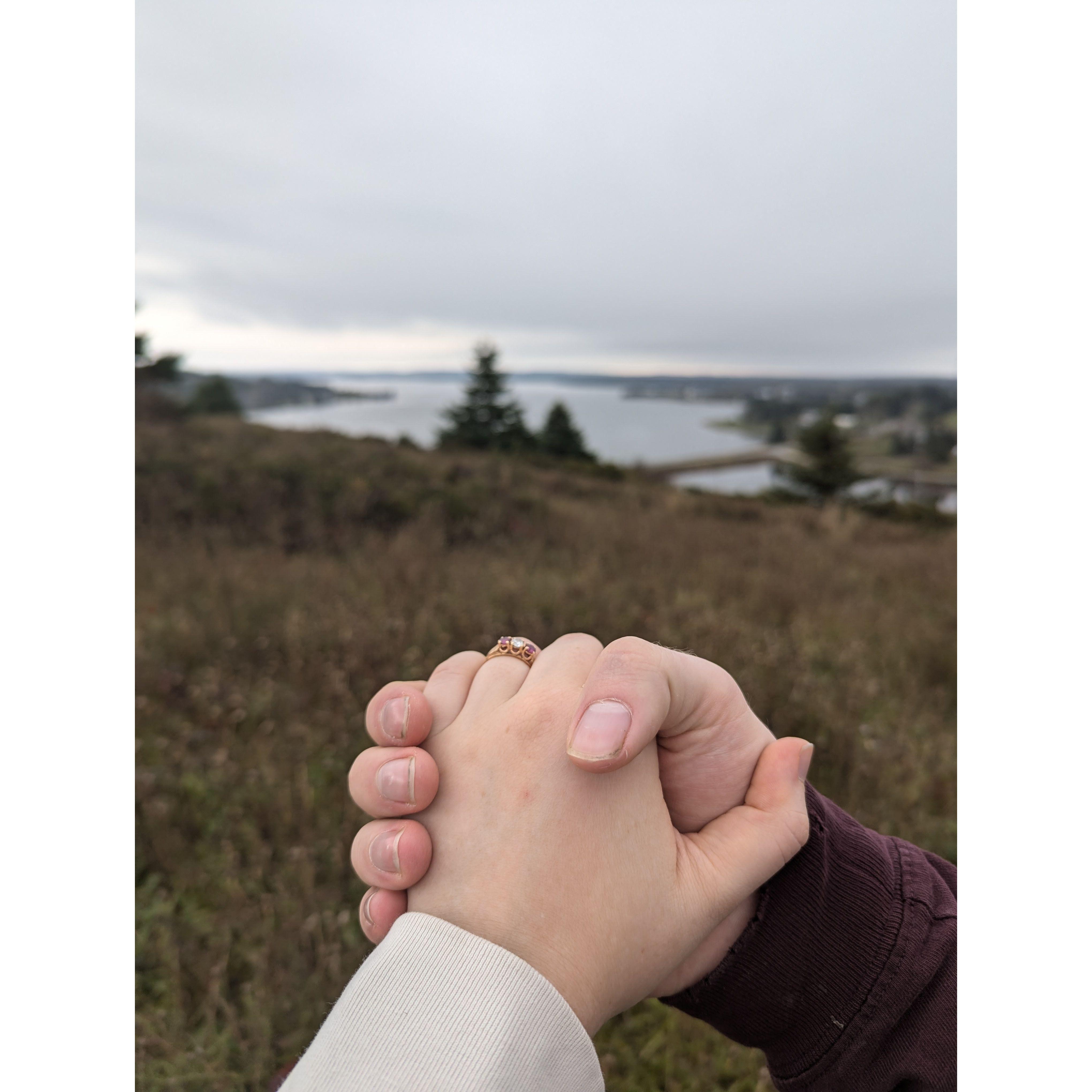 This is where Nolan proposed!