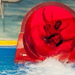 Triple Play Family Fun Park