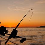 Moby Dick Charters