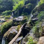 Catawba Falls