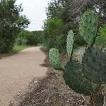 Government Canyon State Natural Area