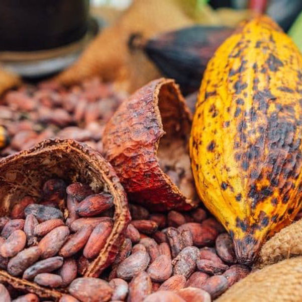 Chocolate and Coffee Tasting & Tour