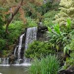 Los Angeles County Arboretum & Botanic Garden