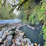 Bigelow Hot Springs