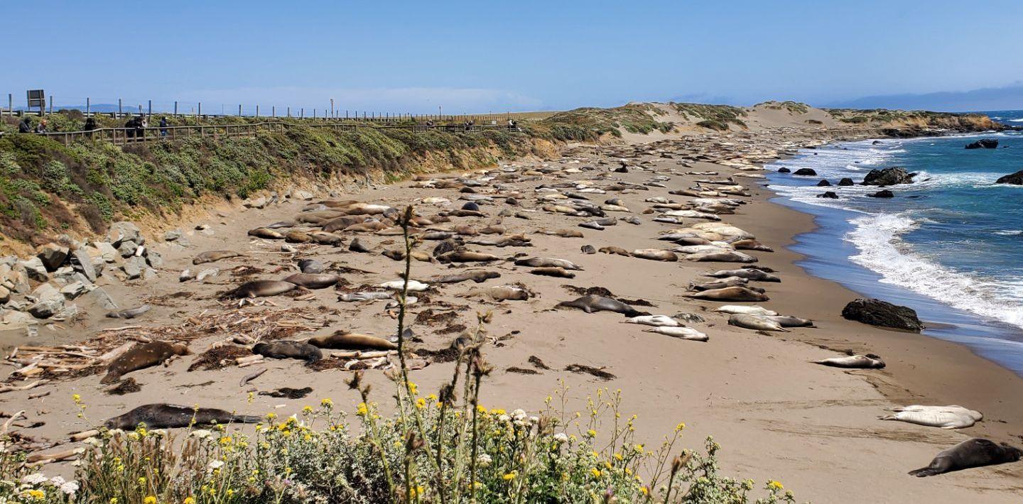 The Wedding Website of leah Terry and Derek Rodino