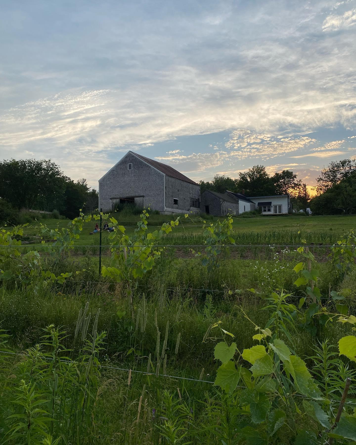 23b7e836-3f48-492f-a063-29557d4d83b0